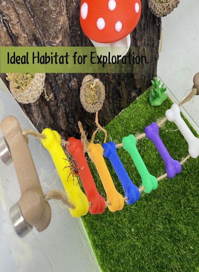 Daerky Jumping Spider Rope Bridge,Magnetic Climbing Bridge, Spider Hide Platform,Jumping Spider Enclosure Accessories,3D Printed,Magnetic Decor for Small Reptile Enclosures (Color) - Image 2